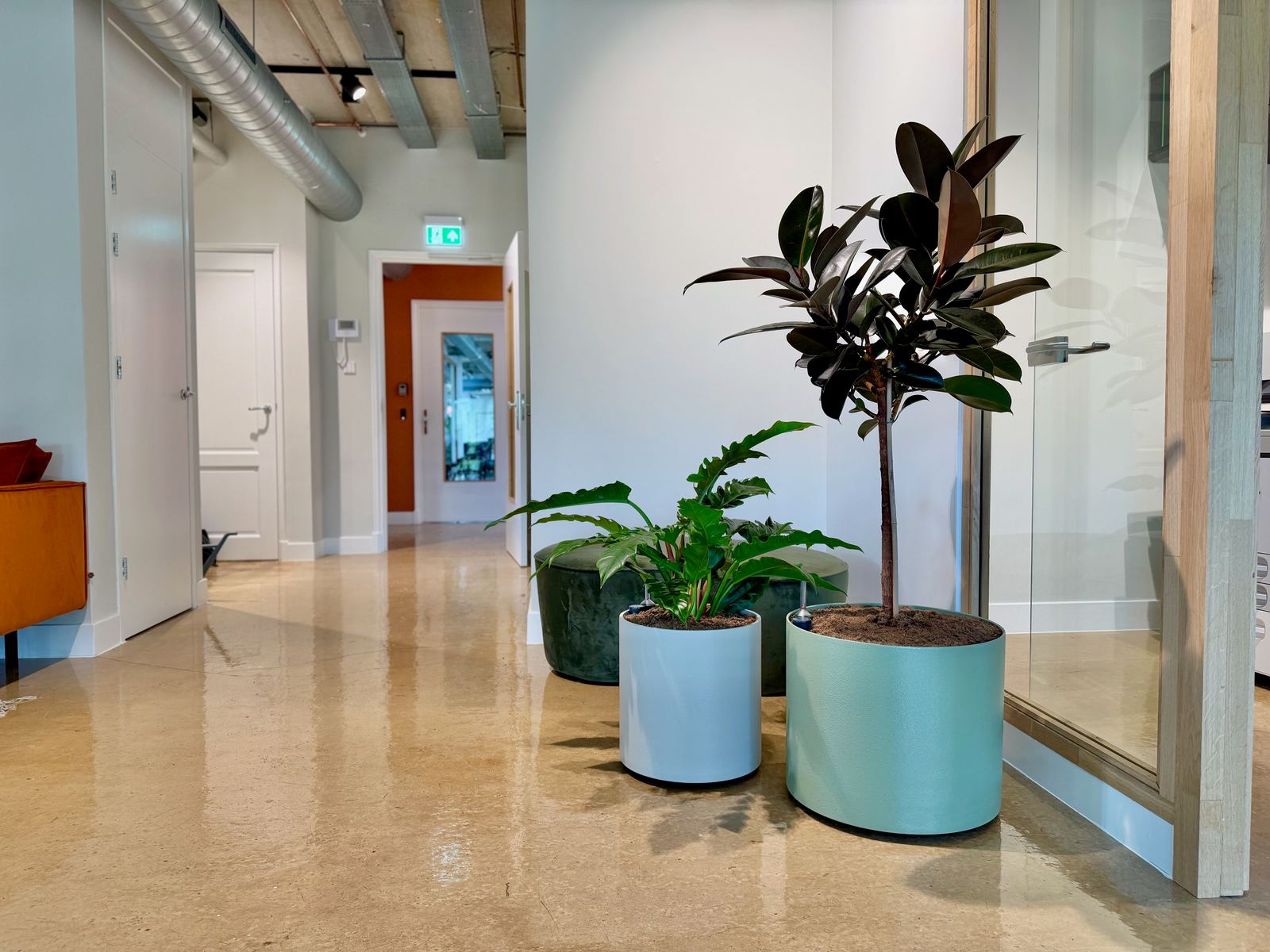 Interieurbeplanting bij Arrow Advocaten — foto 1