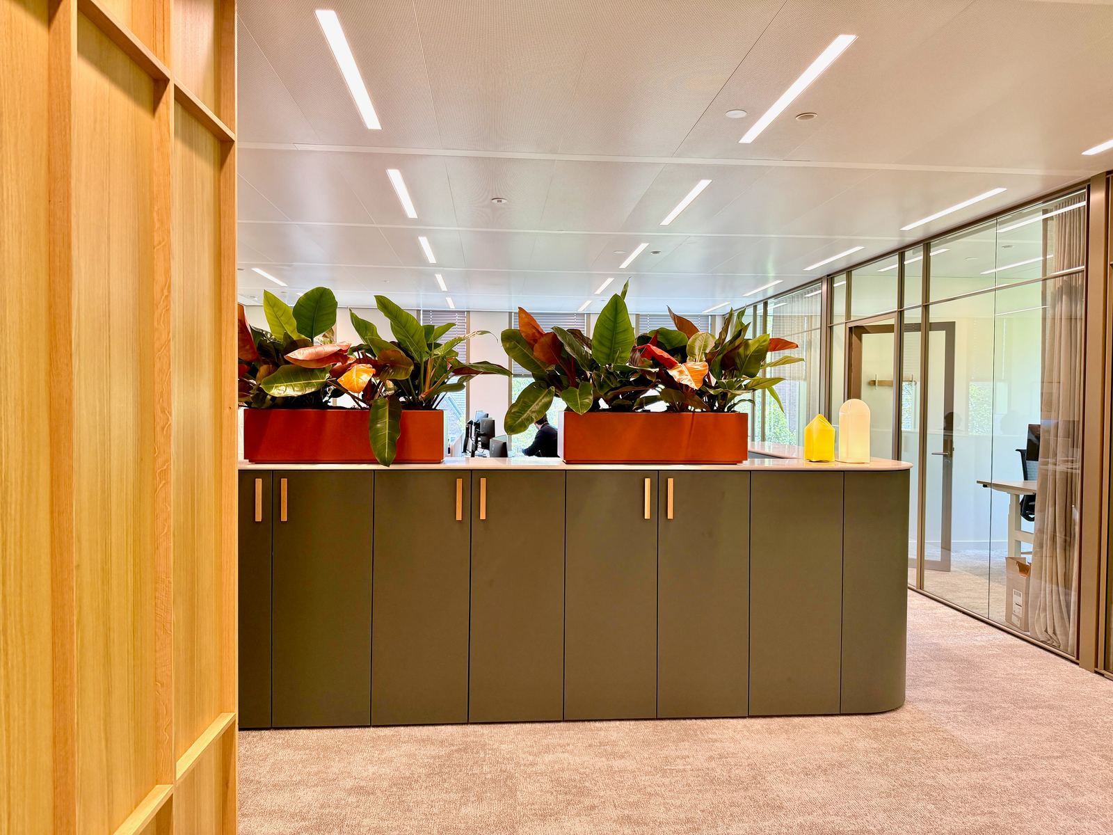 Interieurbeplanting bij Avedon — foto 1