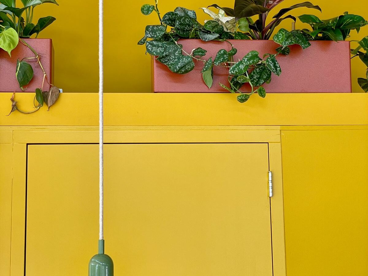 Interieurbeplanting bij Broei — foto 6