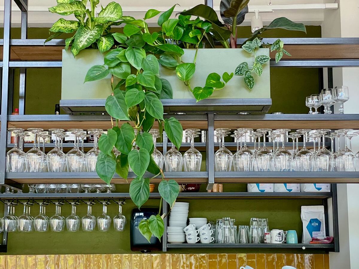 Interieurbeplanting bij Broei — foto 7