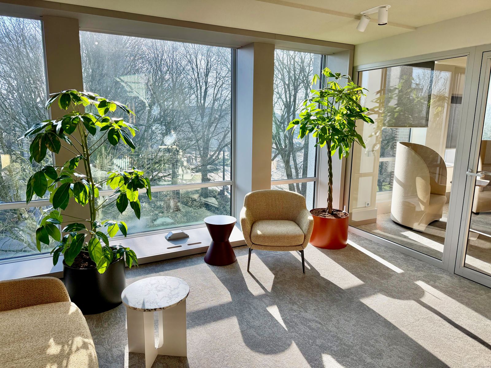 Interieurbeplanting bij Egeria — foto 1
