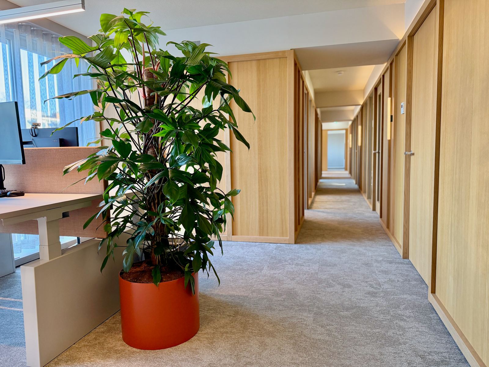 Interieurbeplanting bij Egeria — foto 3