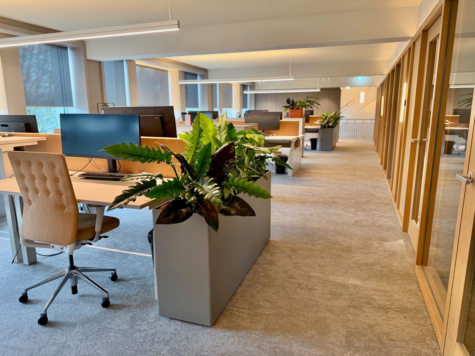 Interieurbeplanting bij Egeria — foto 4