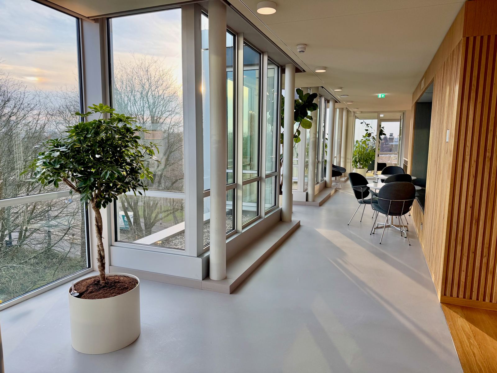 Interieurbeplanting bij Egeria — foto 5