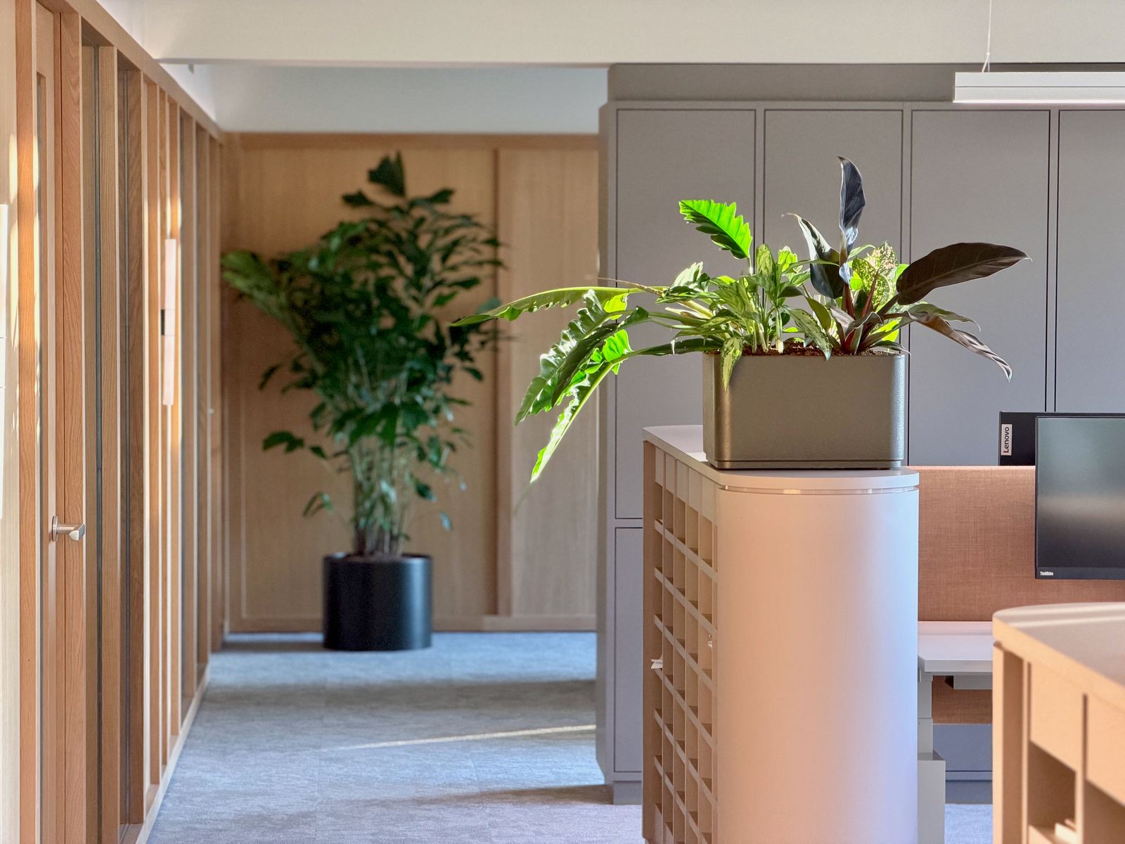 Interieurbeplanting bij Egeria — foto 6
