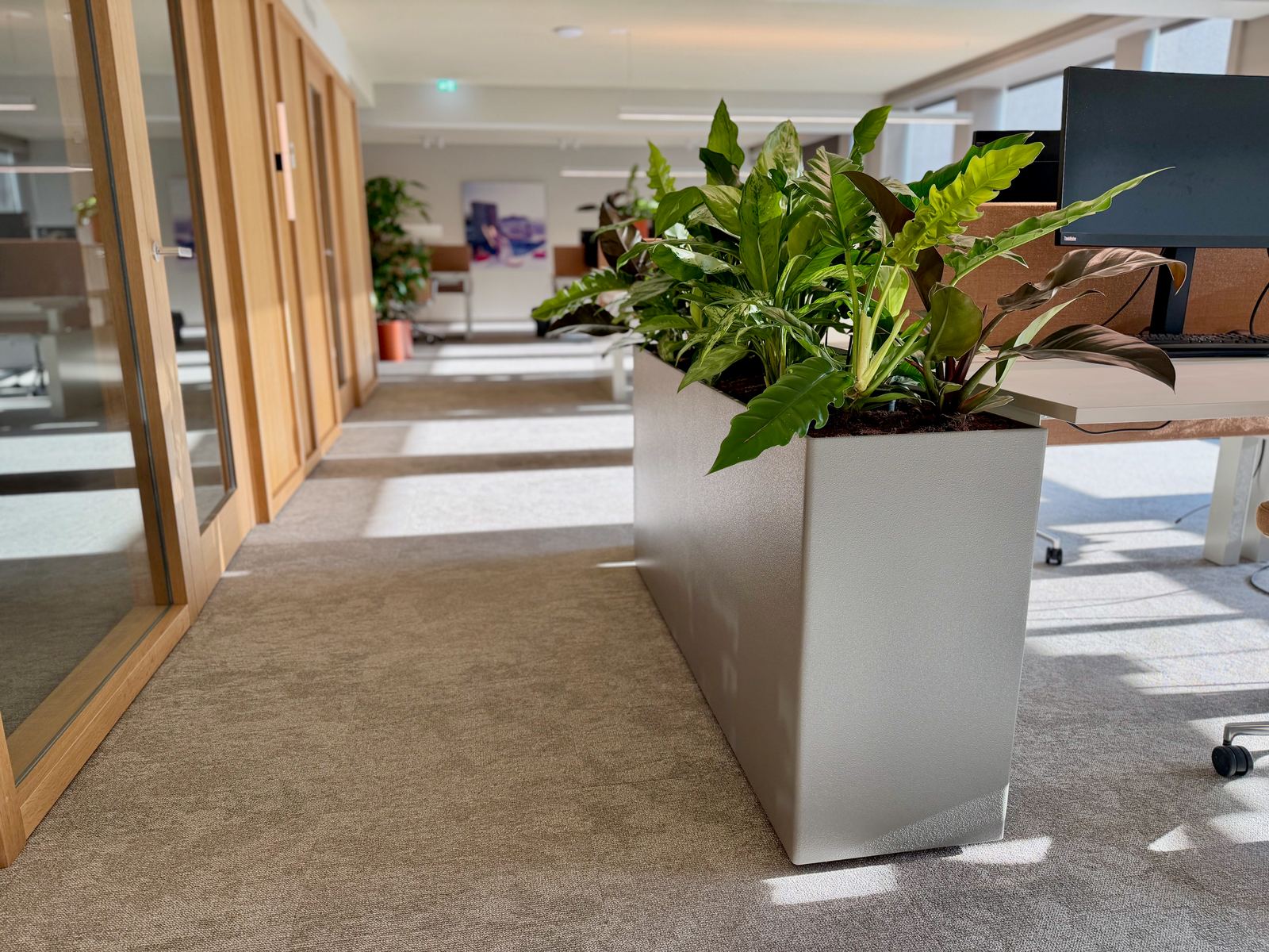 Interieurbeplanting bij Egeria — foto 15