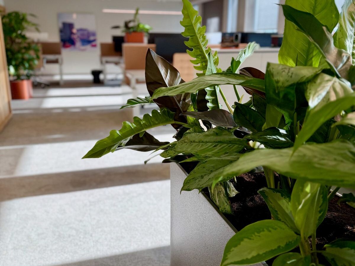 Interieurbeplanting bij Egeria — foto 16