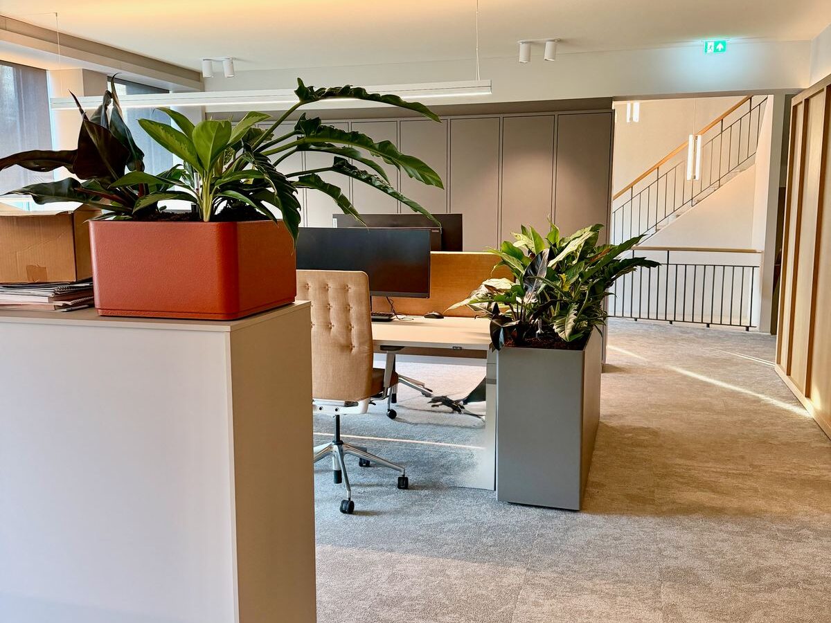 Interieurbeplanting bij Egeria — foto 17