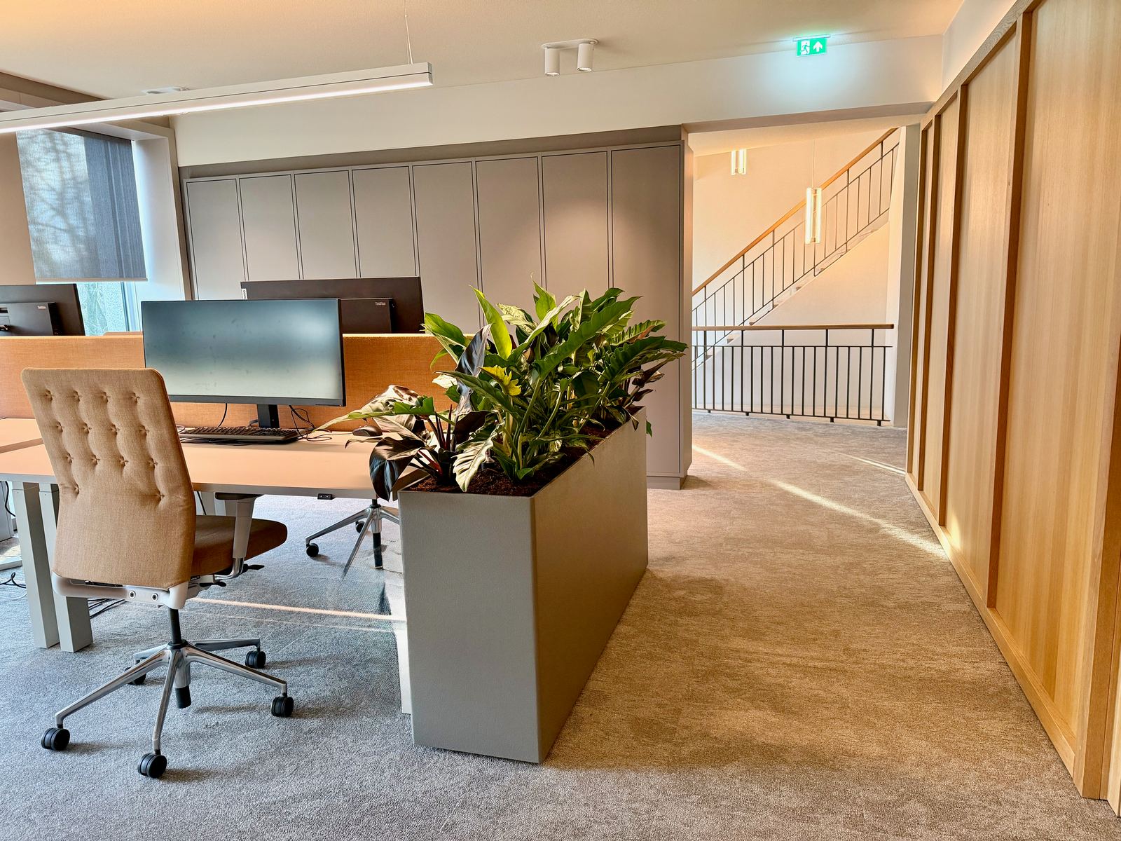 Interieurbeplanting bij Egeria — foto 18