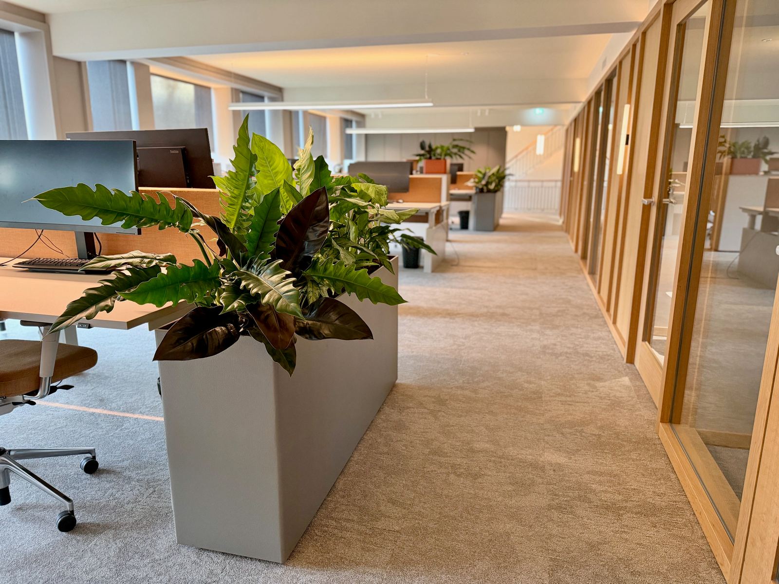 Interieurbeplanting bij Egeria — foto 19