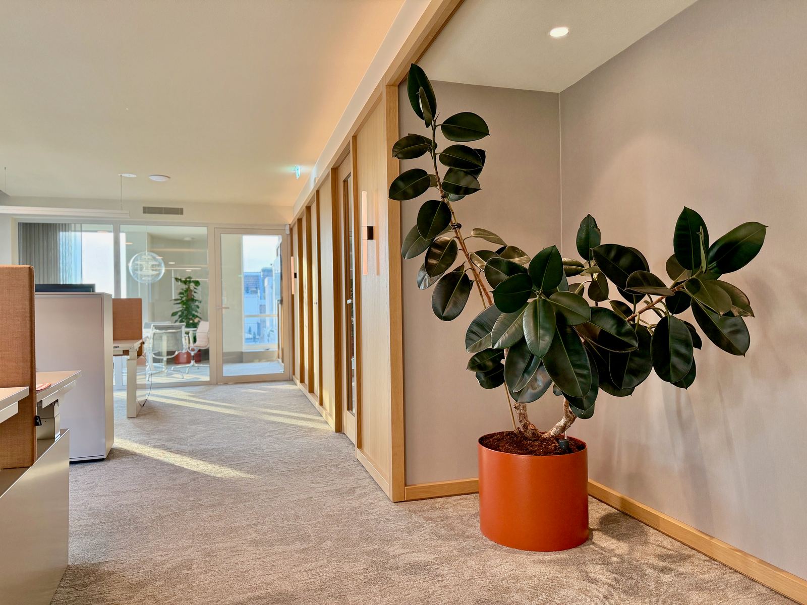 Interieurbeplanting bij Egeria — foto 22