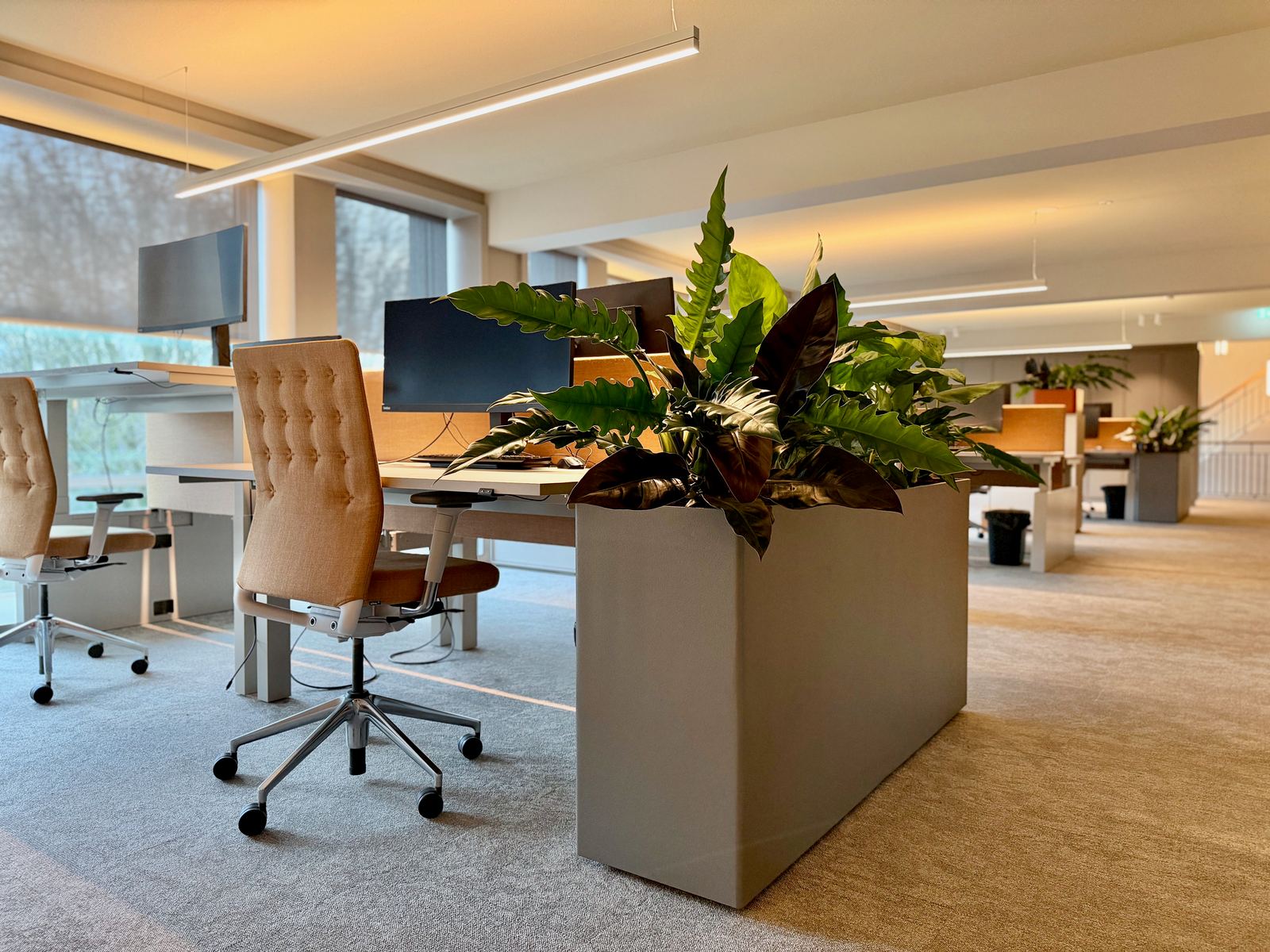 Interieurbeplanting bij Egeria — foto 24