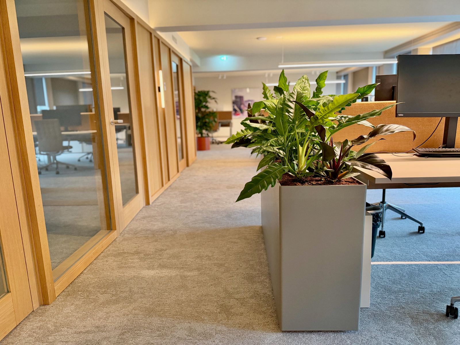 Interieurbeplanting bij Egeria — foto 27