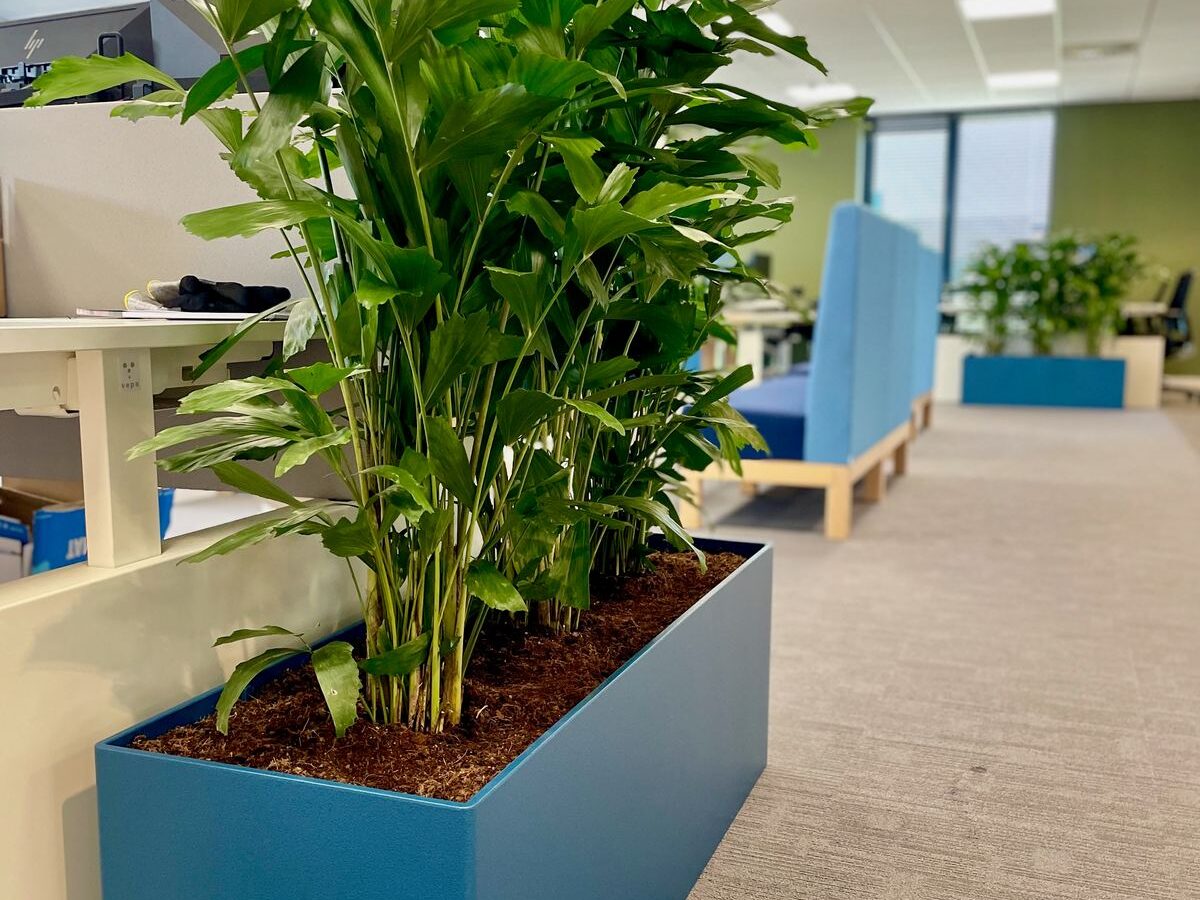Interieurbeplanting bij Energie Wonen — foto 3