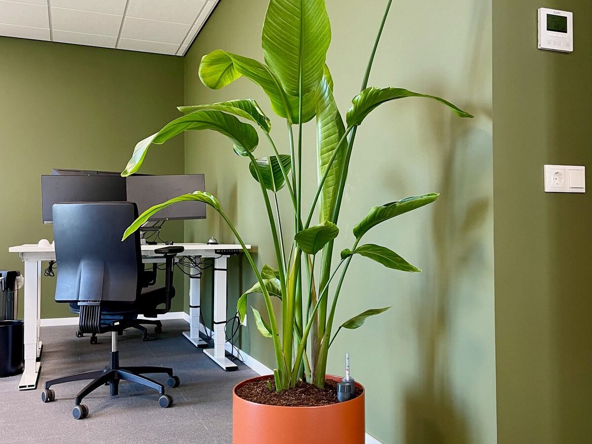 Interieurbeplanting bij Energie Wonen — foto 5