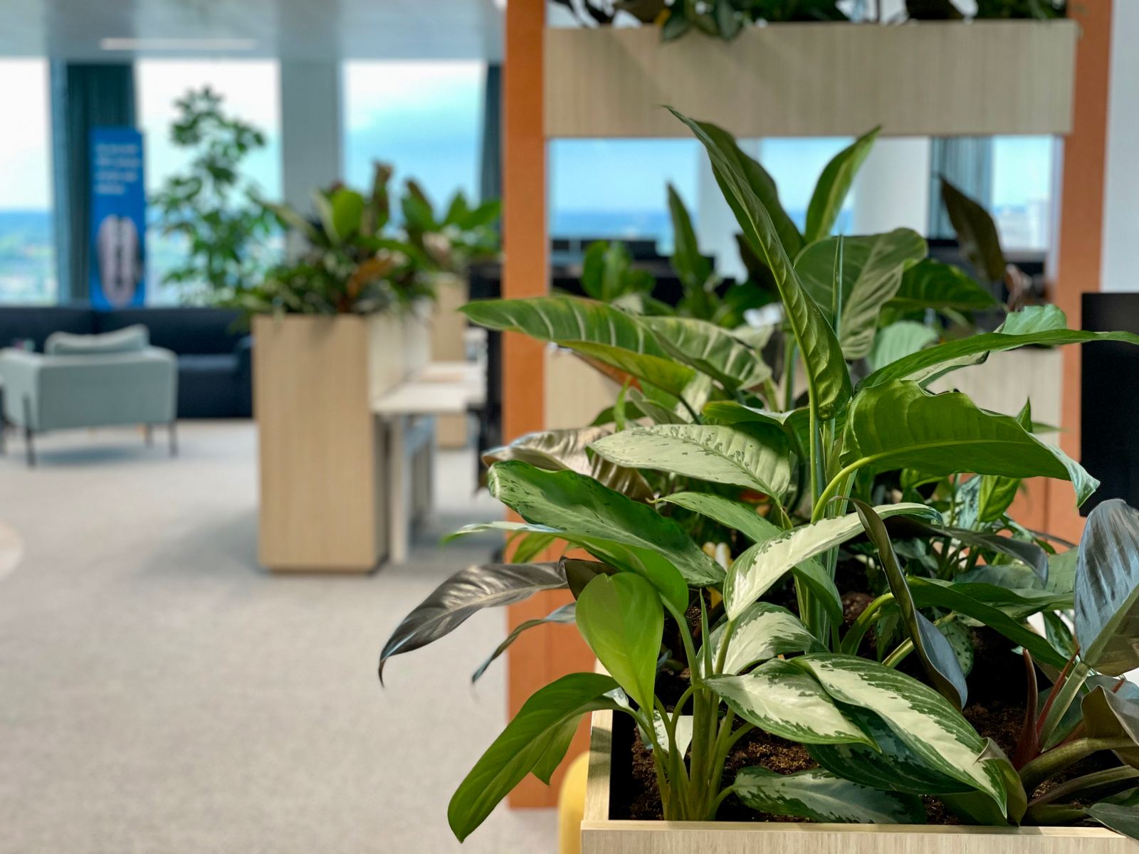 Interieurbeplanting bij Groendus — foto 8