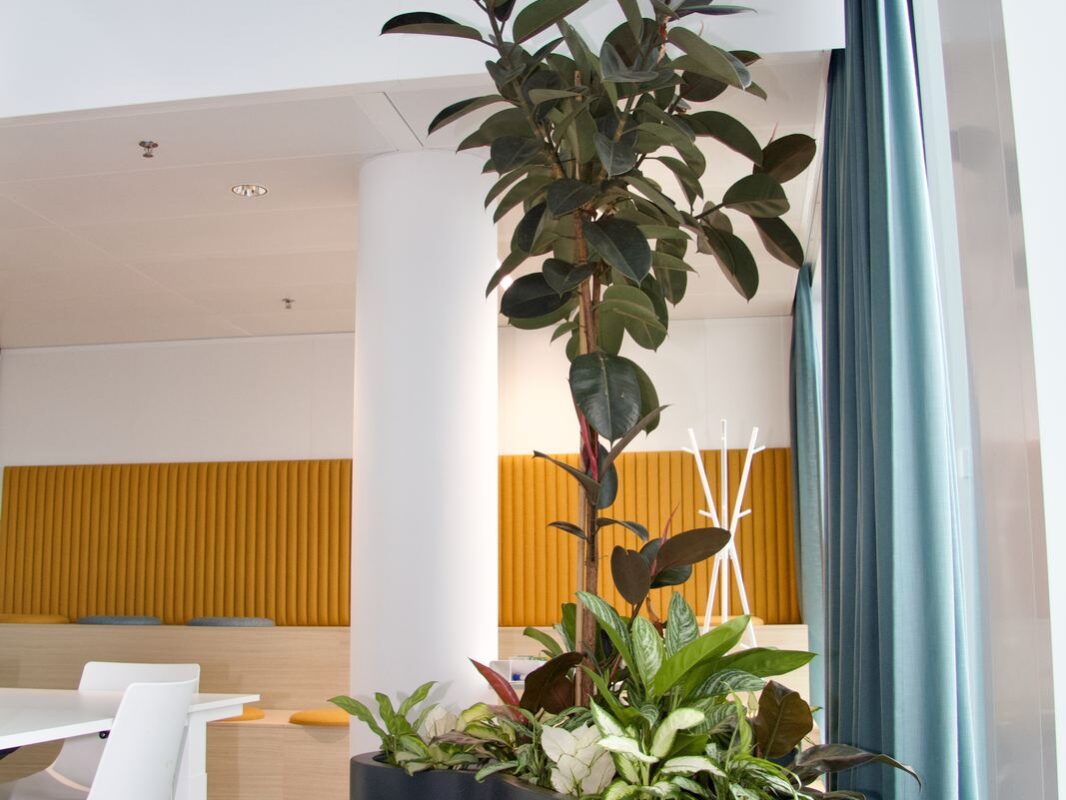 Interieurbeplanting bij Groendus — foto 11