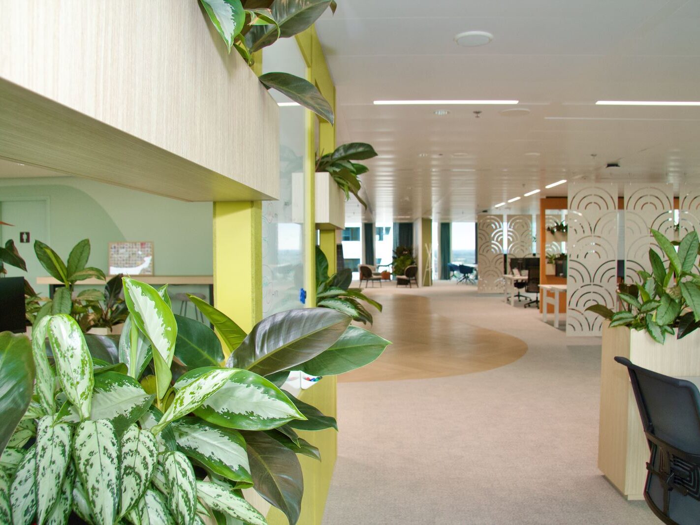 Interieurbeplanting bij Groendus — foto 13