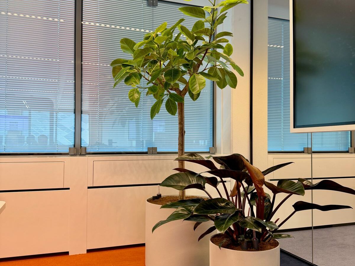 Interieurbeplanting bij Hero — foto 4