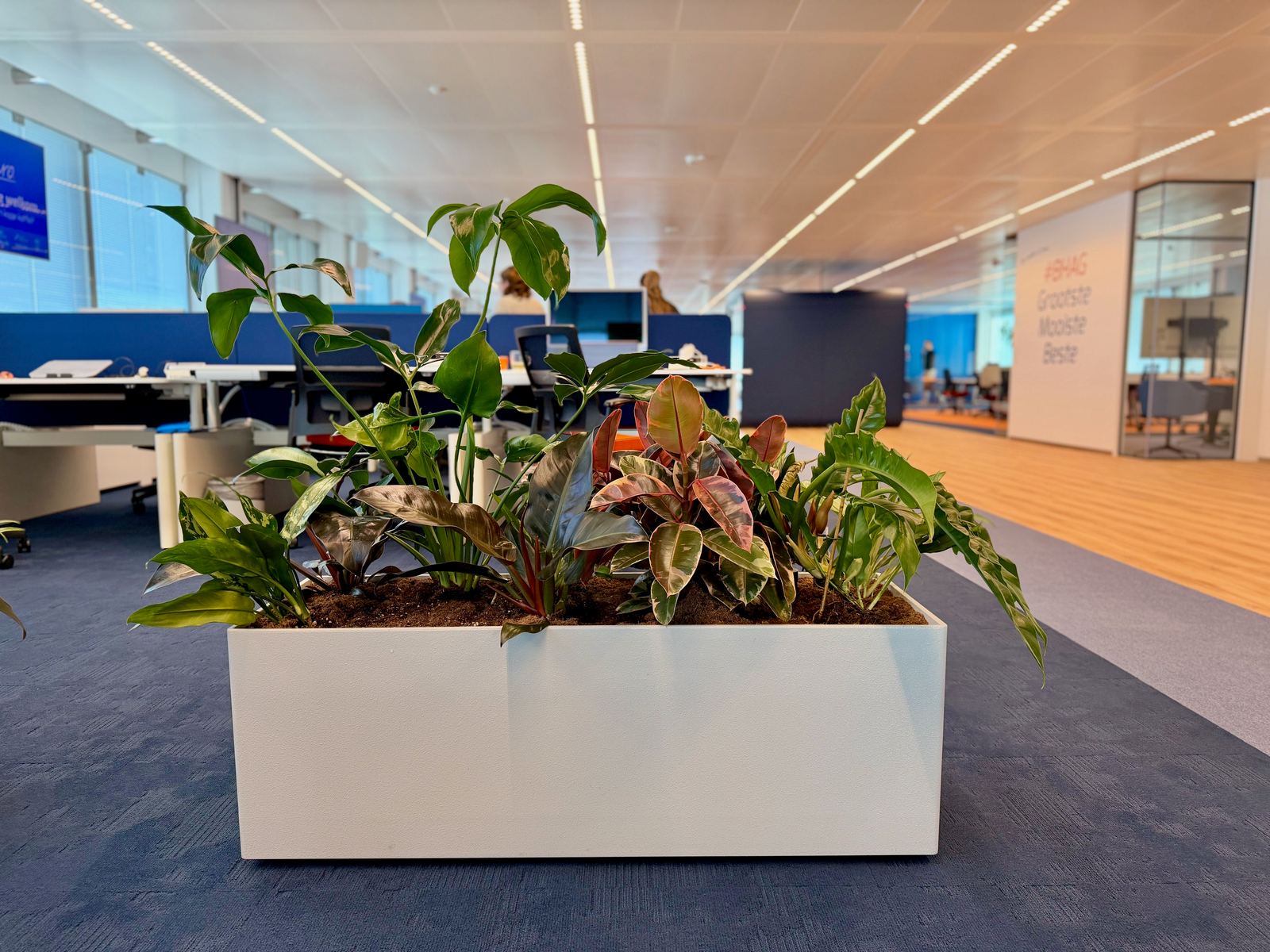 Interieurbeplanting bij Hero — foto 5