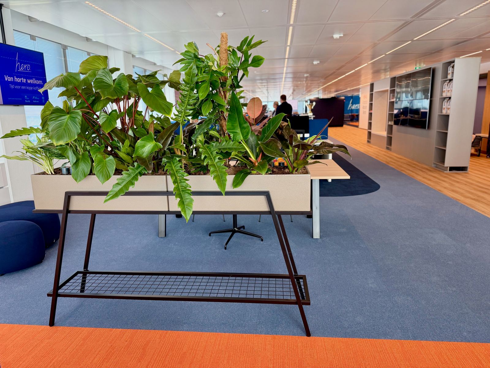 Interieurbeplanting bij Hero — foto 9