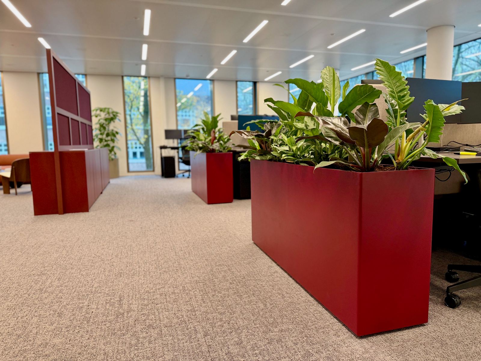 Interieurbeplanting bij Inflexion — foto 1