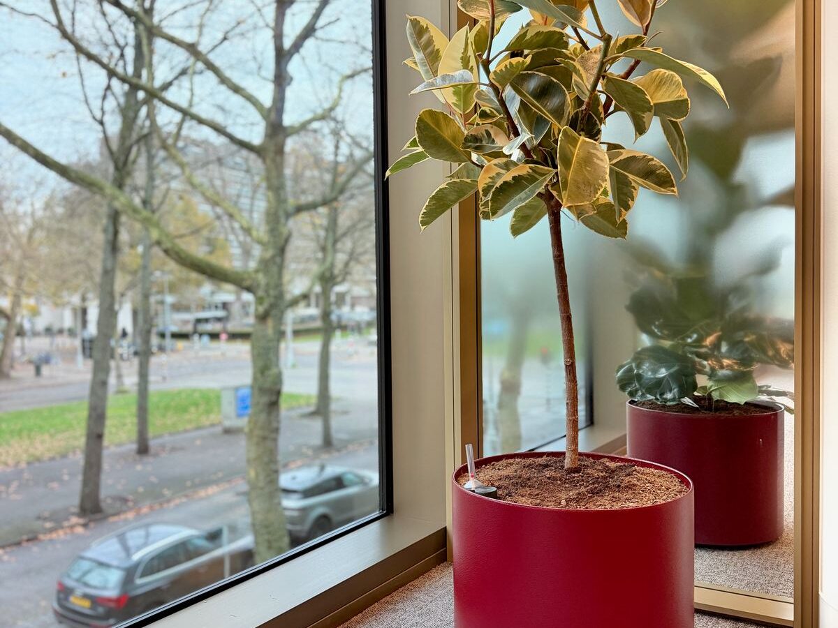 Interieurbeplanting bij Inflexion — foto 4