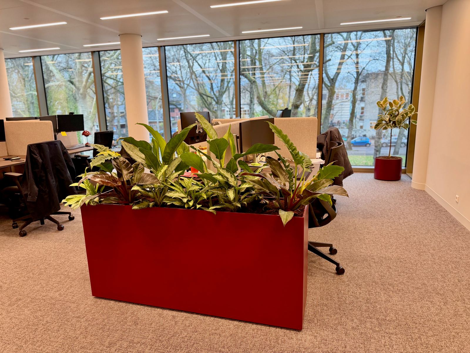 Interieurbeplanting bij Inflexion — foto 6