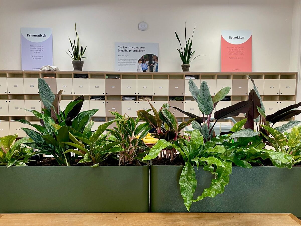 Interieurbeplanting bij RadarAdvies — foto 1