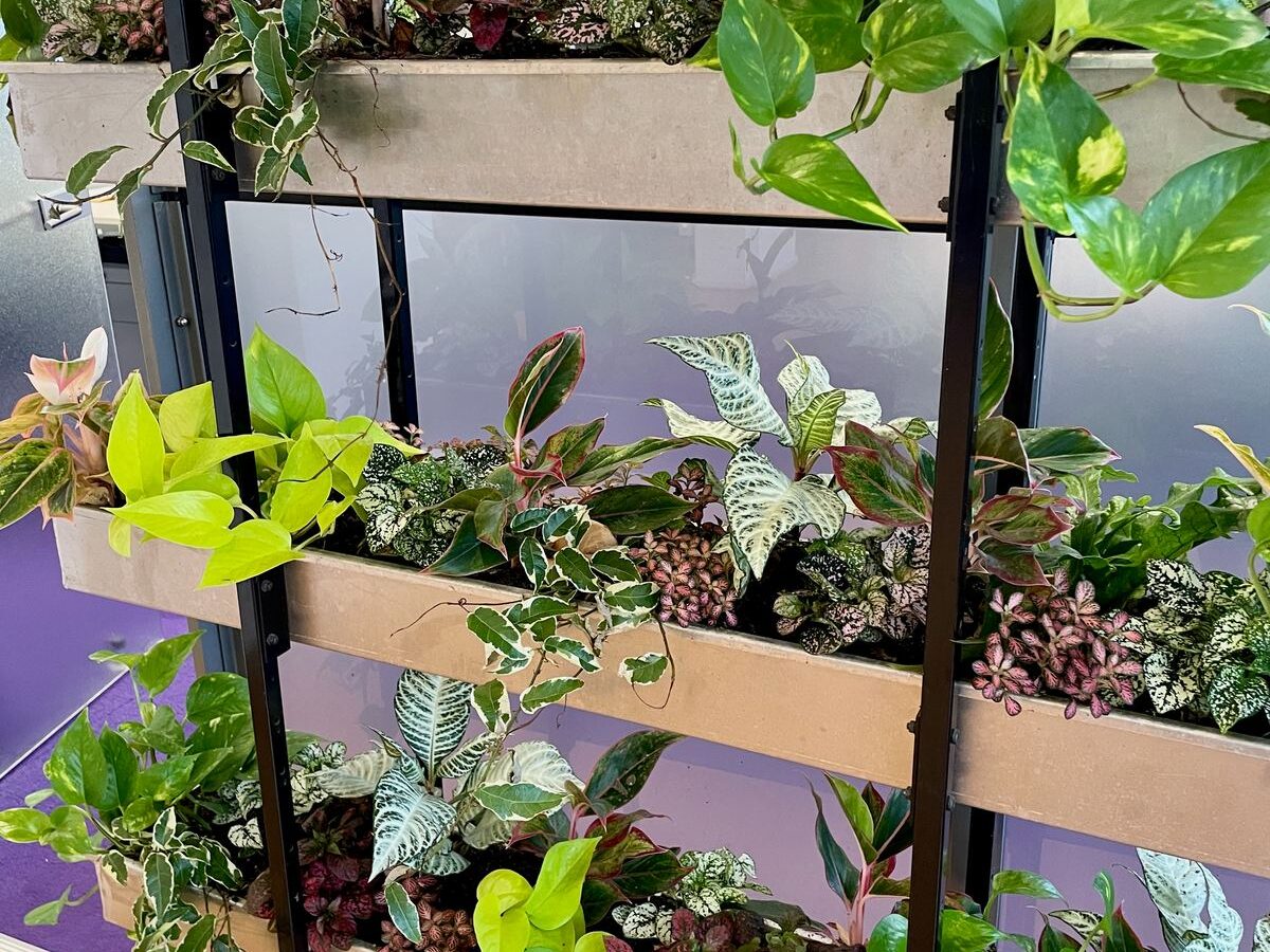 Interieurbeplanting bij RadarAdvies — foto 2