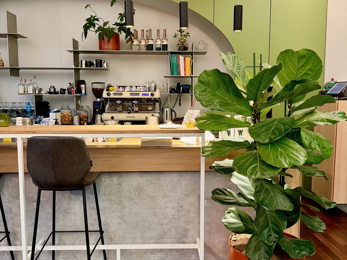 Interieurbeplanting bij ROC Amsterdam — foto 5