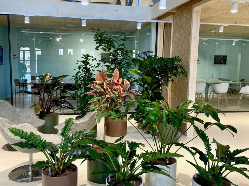 SYSTEMIQ Interieurbeplanting bij SYSTEMIQ — foto 1