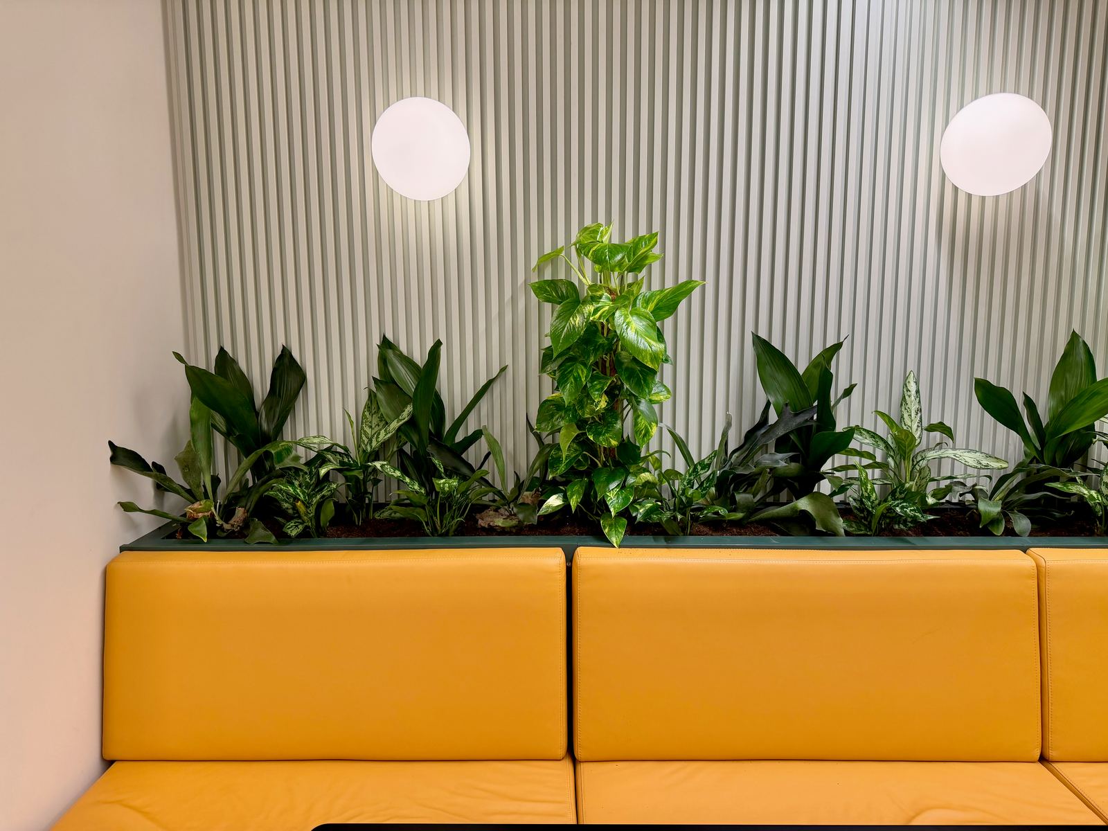 Interieurbeplanting bij Tower Research Capital, foto 1