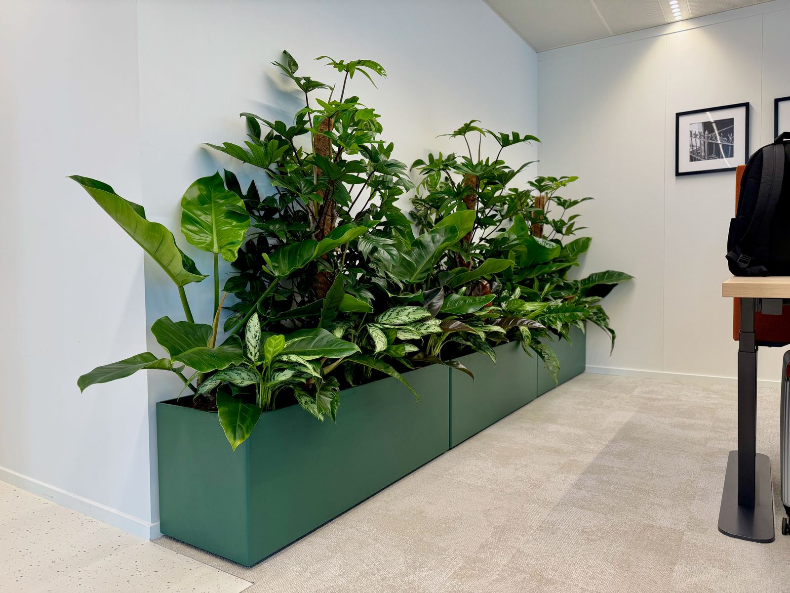 Interieurbeplanting bij Tower Research Capital, foto 3