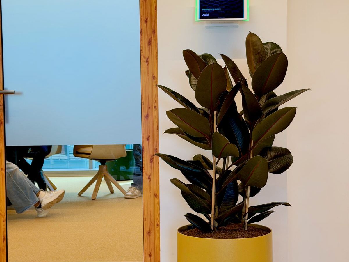 Interieurbeplanting bij Tower Research Capital, foto 6