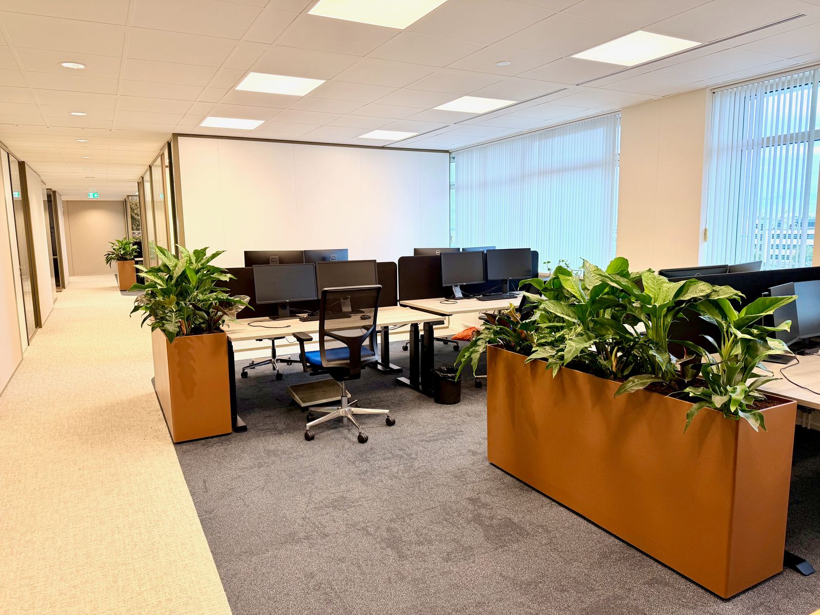 Interieurbeplanting bij Van Ameyde Waarderingen — foto 1