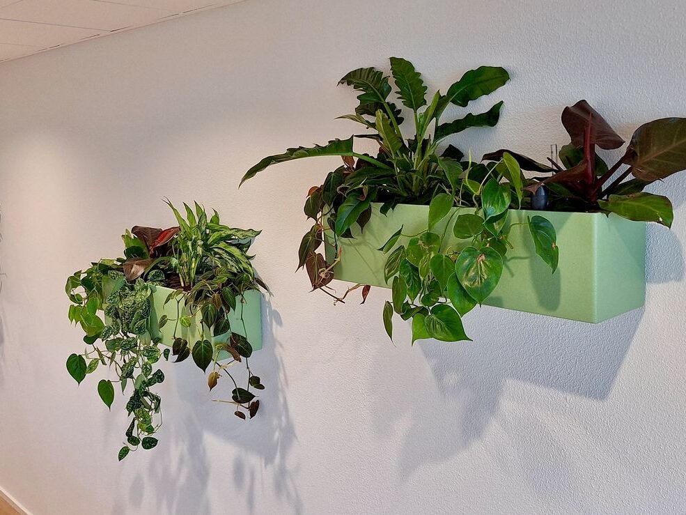 Interieurbeplanting bij Van Ameyde Waarderingen — foto 3