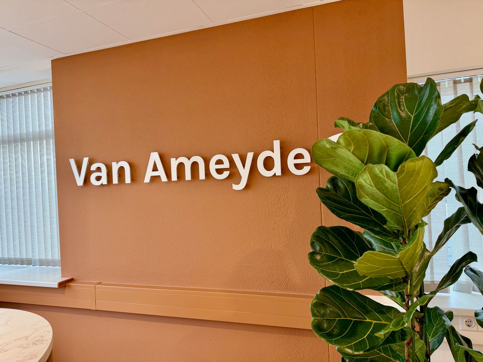Interieurbeplanting bij Van Ameyde Waarderingen — foto 5