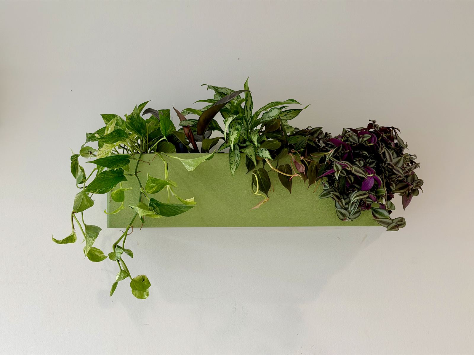 Interieurbeplanting bij Yuverta Naarden — foto 3