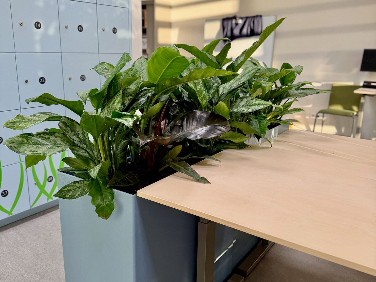 Interieurbeplanting bij Yuverta Naarden — foto 4