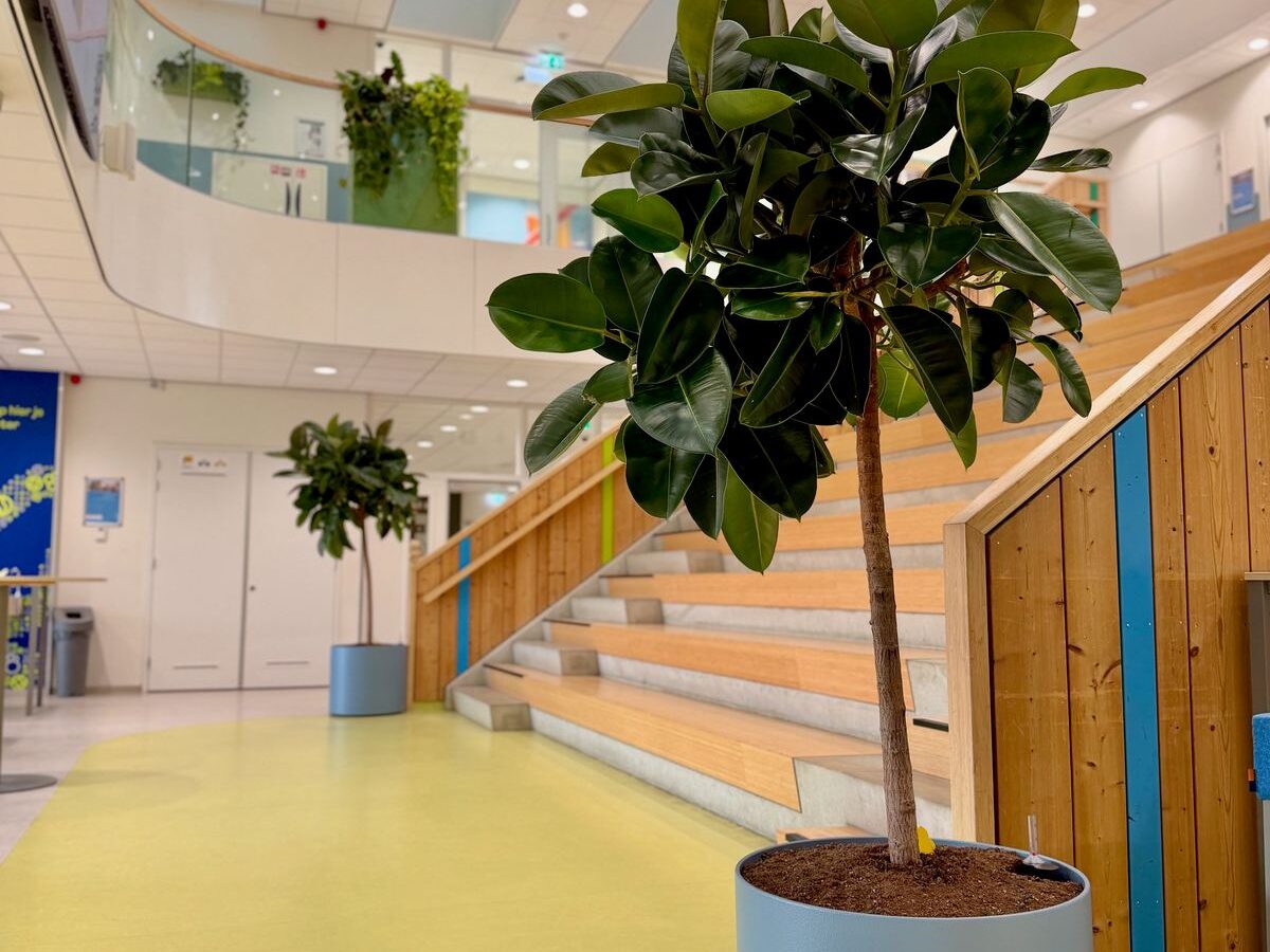 Interieurbeplanting bij Yuverta Naarden — foto 5