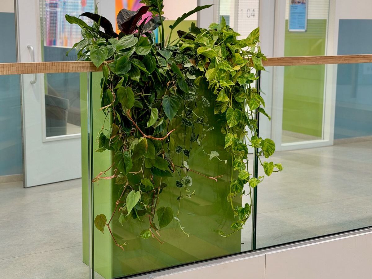 Interieurbeplanting bij Yuverta Naarden — foto 6