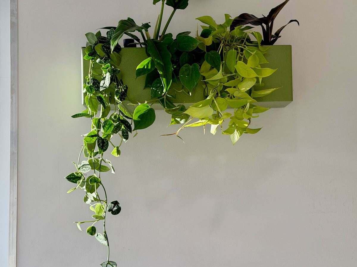 Interieurbeplanting bij Yuverta Naarden — foto 8