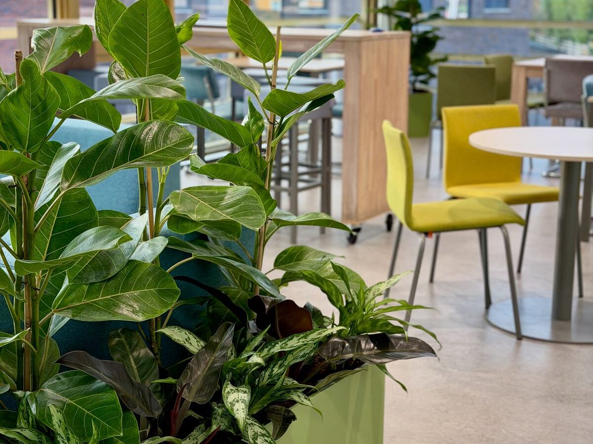 Interieurbeplanting bij Yuverta Naarden — foto 9